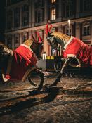 Koziołki na placu Kolegiackim