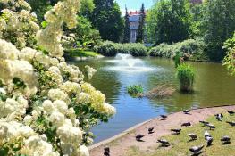 Nowe spojrzenie na Park Wilsona