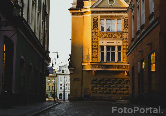 Światłocienie Poznania