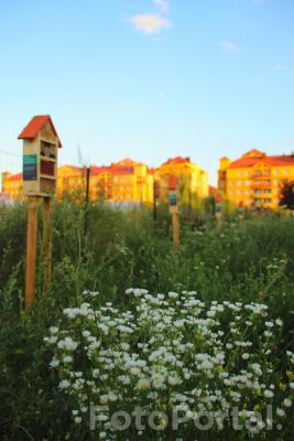 Hoteliki dla owadów zapylających przy ośrodku Posum