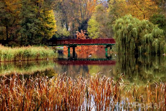 Park Sołacki