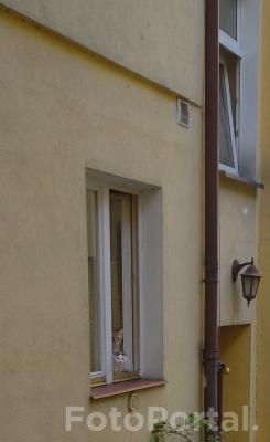 Okno na podwórku na Starym Mieście