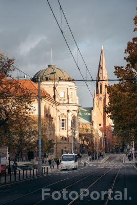 Jesień na ul. Fredry