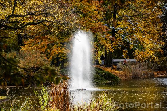 Fontanny w Parku Wilsona