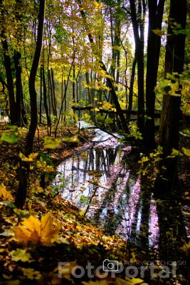 Bogdanka - Poznań