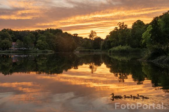 Park Sołacki