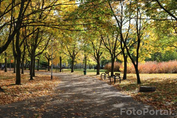 Park Wł. Czarneckiego