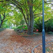 Park Wilsona w Poznaniu