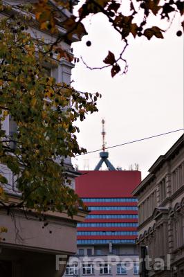 Zadumany Poznań