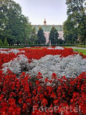 Morze kwiatów