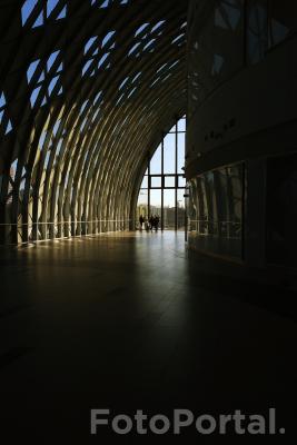 Światłocienie Poznania