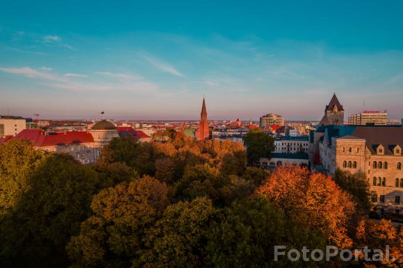 Jesień w centru miasta