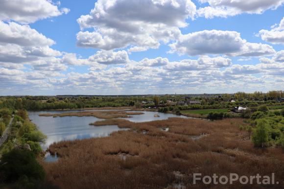 Widok z wieży | Park Szachty