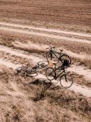 Wycieczka rowerowa przez pola