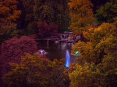 Jesienne barwne fontanny