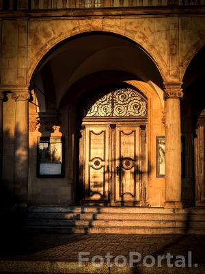 Światłocienie Poznania