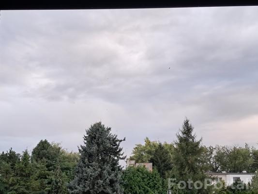 Pochmurny dzień wrześniowy