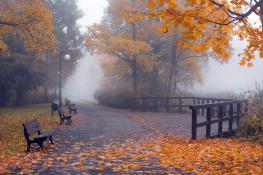 Park Sołacki