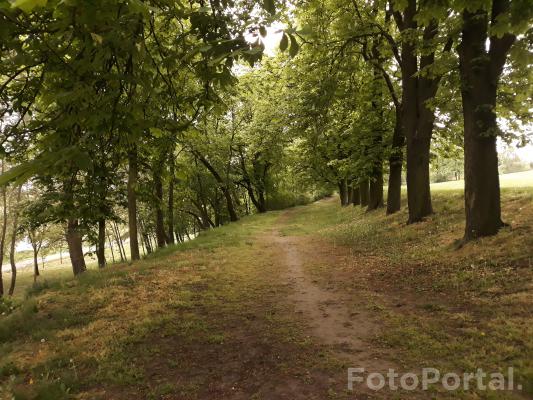 Park Szelągowski