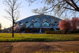 Arena