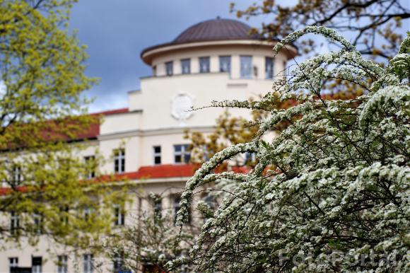 Park/skwer Łukasiewicza