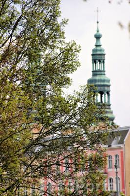 Wieże Farne wyglądające z pod zielni drzew