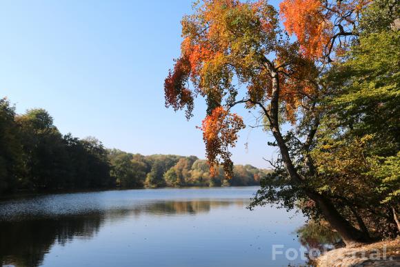 Jesiennie nad Rusałką