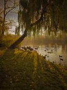 Park Sołacki
