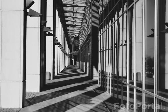 Światłocienie Poznania