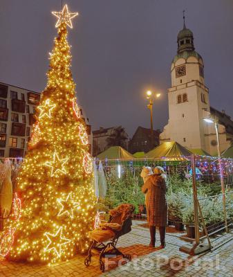 Sztafeta pokoleń