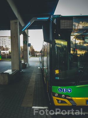 Autobus pod ładowarką.