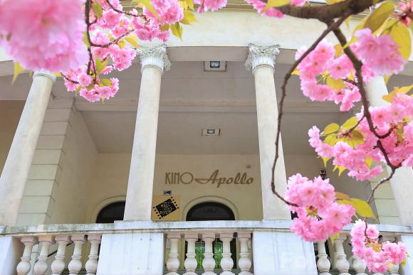 Pasaż Apollo