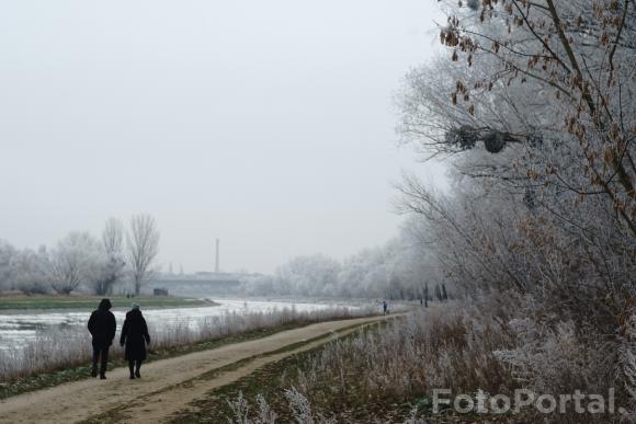 Ścieżka nad Wartą