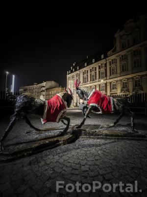 Tyrek i Pyrek w świątecznym wystroju