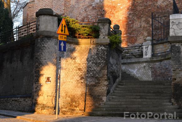 Światłocienie Poznania