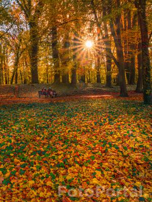 Park Sołacki