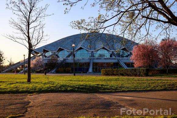 Arena