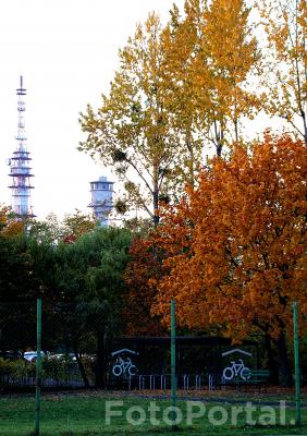 jesienny Poznań-osiedle Chrobrego