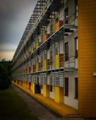 Collegium Chemicum