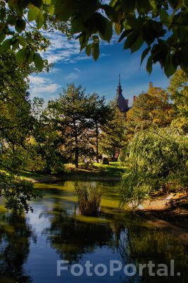Park Wilsona