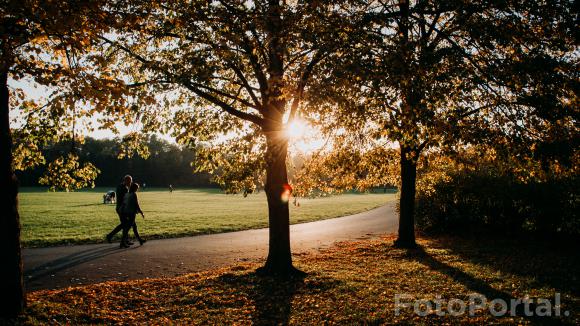 Park Cytadela, al. Armii Poznań