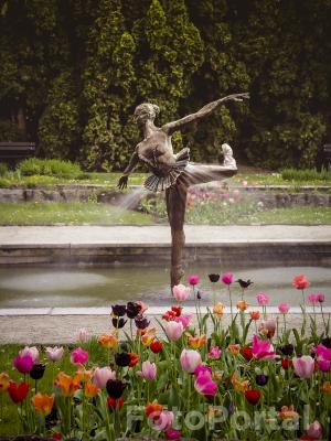 Ogród botaniczny