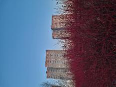 Na zewnątrz, czy ze środka