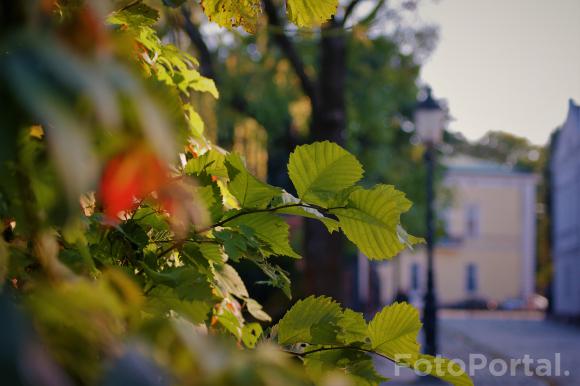 Stare Miasto w moich oczach