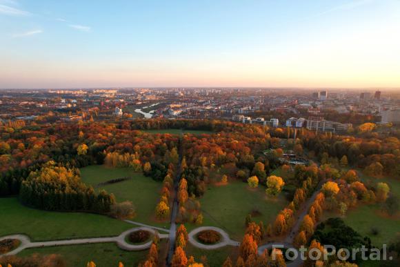 Złota panorama