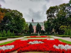 Kwiatki w parku