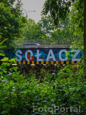Sołacz