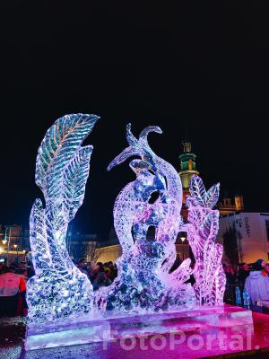 Ice festival