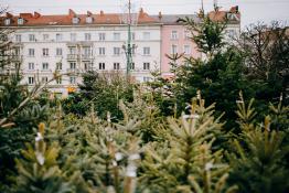 Święta na Placu Wielkopolskim