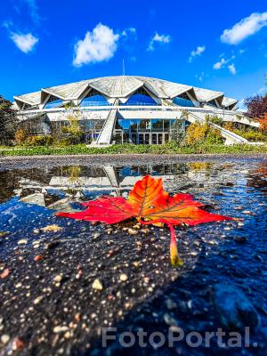 Hala widowiskowa Arena